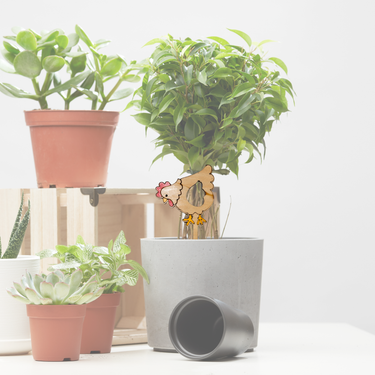 Petal Peck - Unicorn Fart Productions